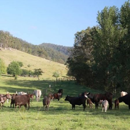 Cedar Creek Cottages Millfield Εξωτερικό φωτογραφία