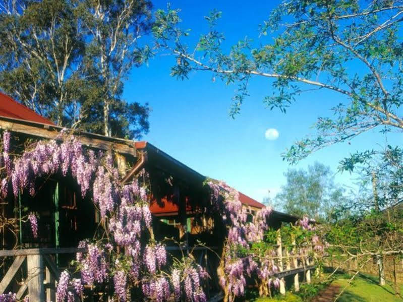 Cedar Creek Cottages Millfield Εξωτερικό φωτογραφία