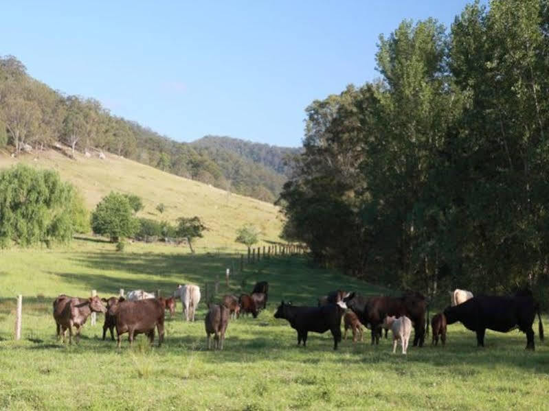 Cedar Creek Cottages Millfield Εξωτερικό φωτογραφία